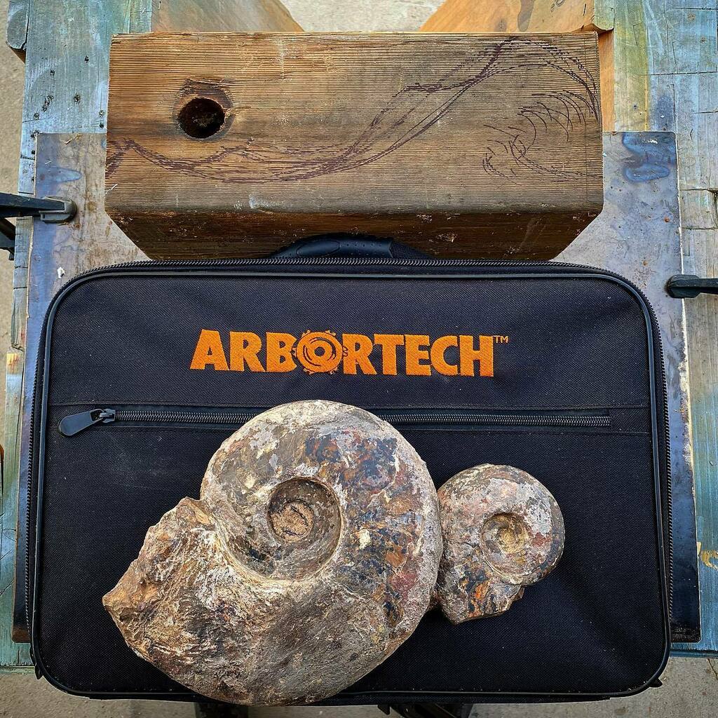 Time to try something new. Thanks @arbortechie for sending a power carving kit. Let’s see what we can do. Much excite.
.
.
#arbortech #powercarving #woodwork #power #fossil #display #oldandnew #treasuresfromthedeep #ancient #mountmaking #feelthepower #cedar #carving #shoplif…