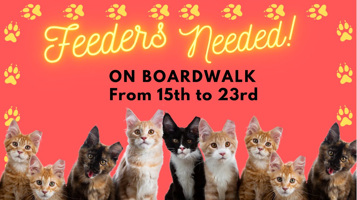 Note: Food will be provided, we just need you with a helping paw and some spare time! Our #SoBeCats will be beyond grateful! 
#PSA #CatFeeders  #SoBeFeeders #LendAPaw #MiamiBeach #CuteCats #NewFriends #VolunteerFeeder #Share #Retweet #TwitterCats