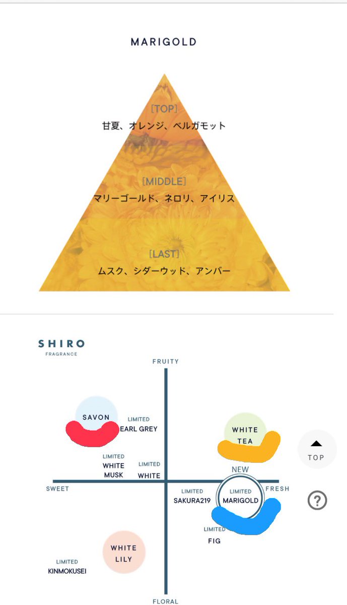 ホワイトリリー 最新情報まとめ みんなの評価 レビューが見れる ナウティスモーション ホワイトリリー 最新情報まとめ みんなの評価 レビューが見れる ナウティスモーション