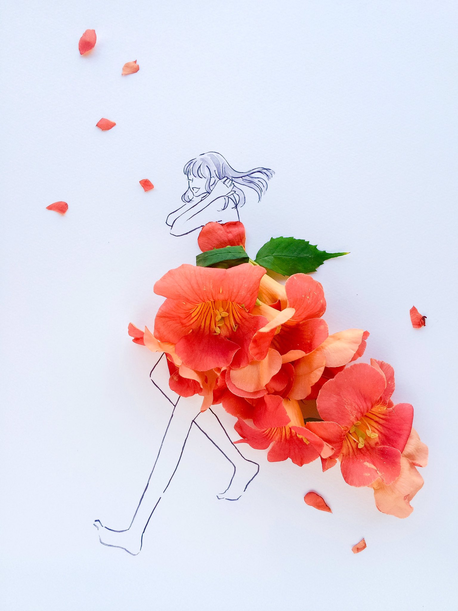 تويتر はな言葉 葉菜桜花子 新刊発売 على تويتر きょう7月15日は 中元 お盆 盂蘭盆会 大阪港開港記念日 内航船の日 ファミコンの日 世界ありがとうの日 マンゴーの日 誕生花はノウゼンカズラ 花言葉 栄光 愛らしい T Co 85ll5dzj36