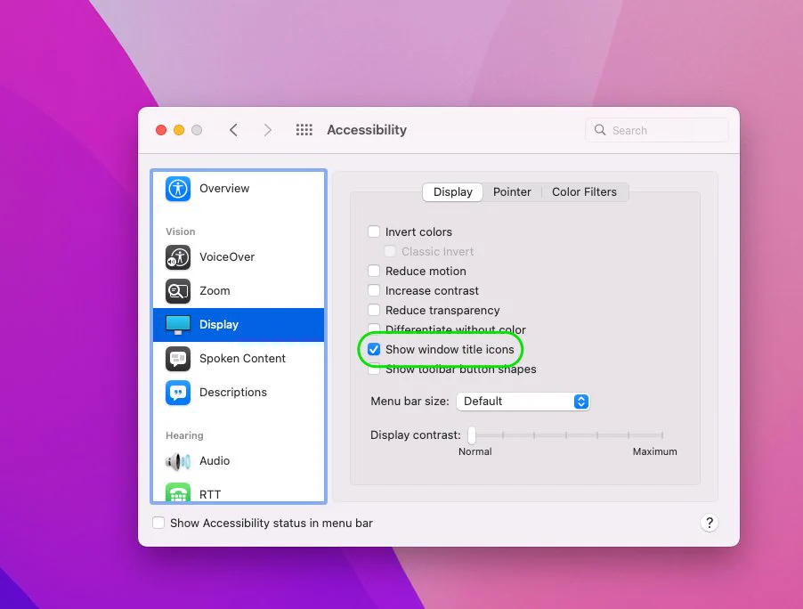 A screen shot of the "Show window title icons" checkbox in macOS Accessibility settings