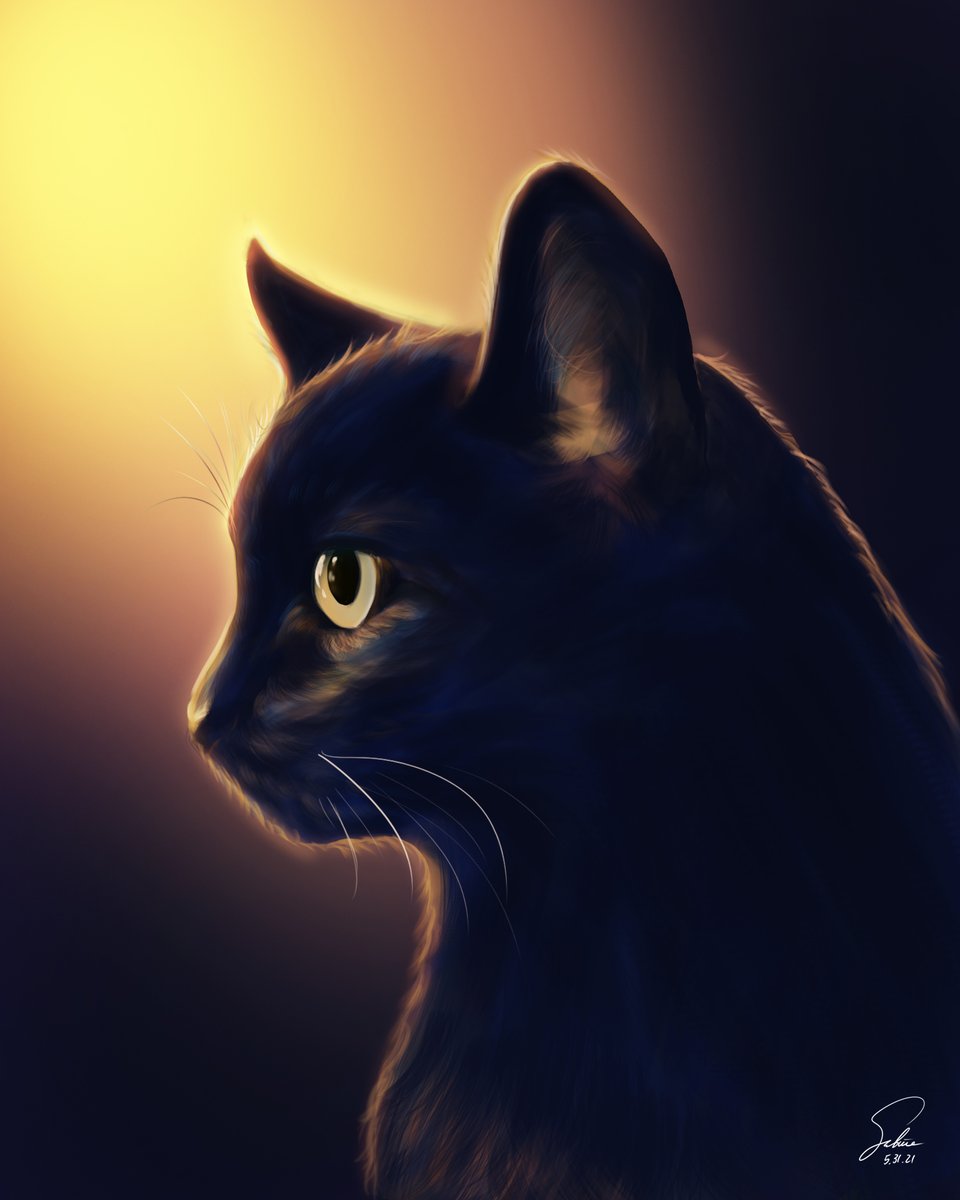 Cierin Blue (Artist) tweet media