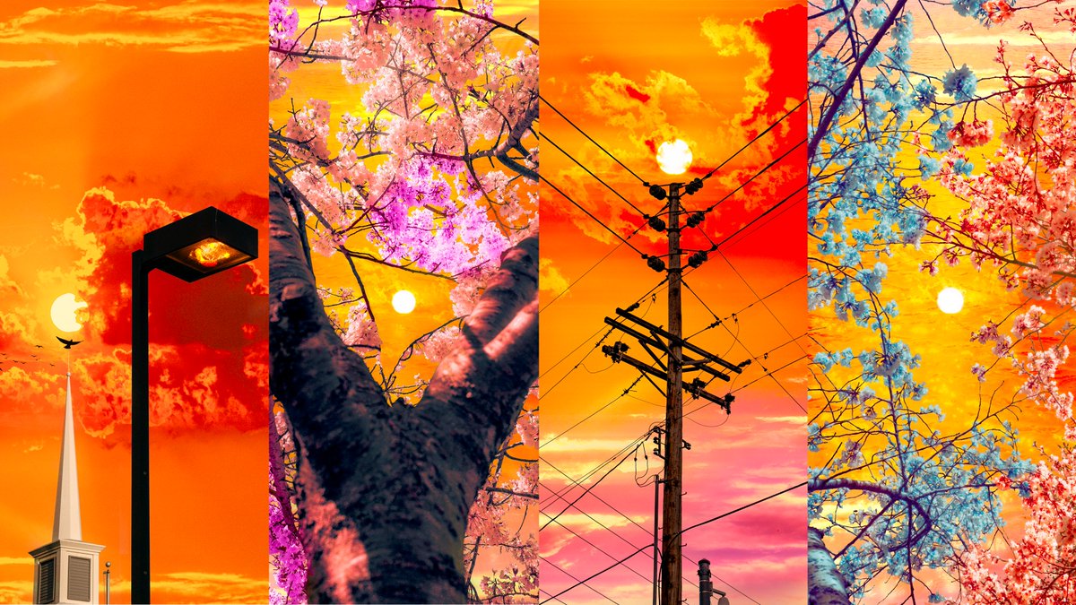 it costs $0 to retweet and support my art