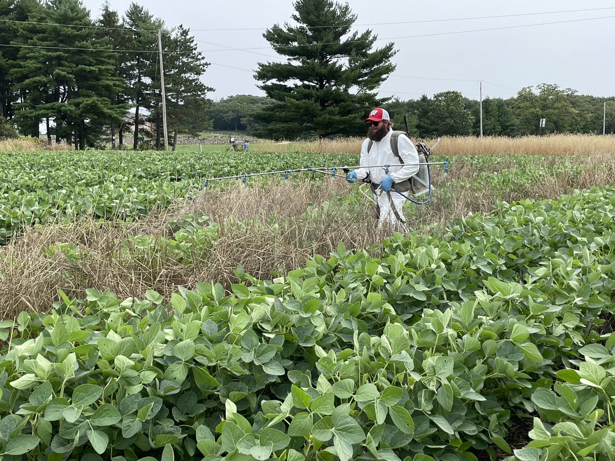 Rodrigo Werle tweet media