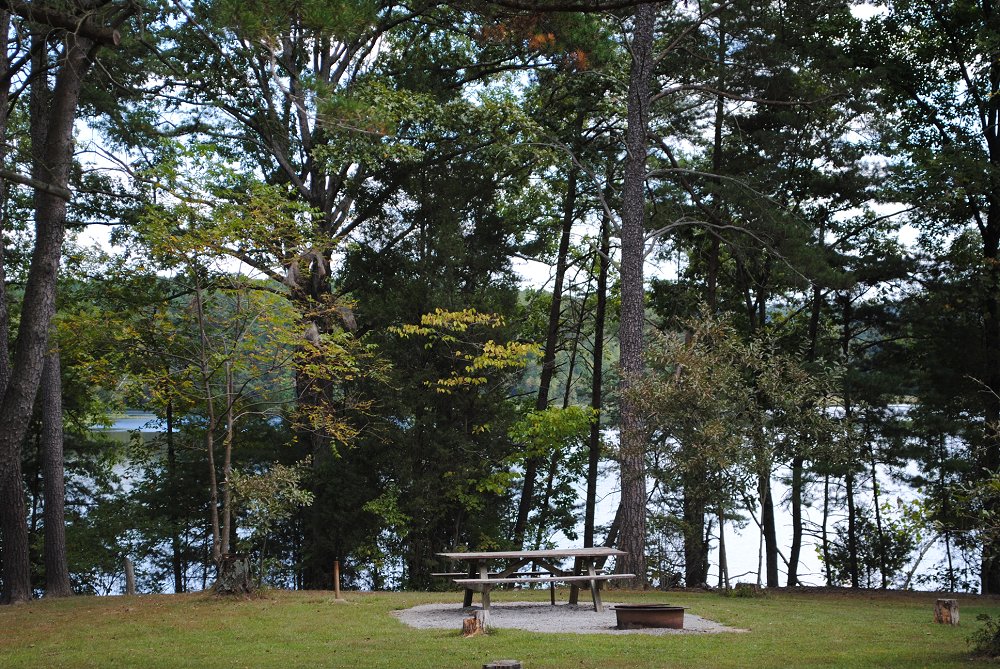 ShawneeNF's tweet photo. July is #NationalPicnicMonth! At #ShawneeNF you can find hundreds of picnic spots, like this one at Lake Glendale's Goose Bay. Enjoy a picnic lunch along side the lake, walk or bike the lake trail & enjoy the outdoors relaxing with a book or playing an outdoor lawn game. https://t.co/j9gRVnZ0Mc