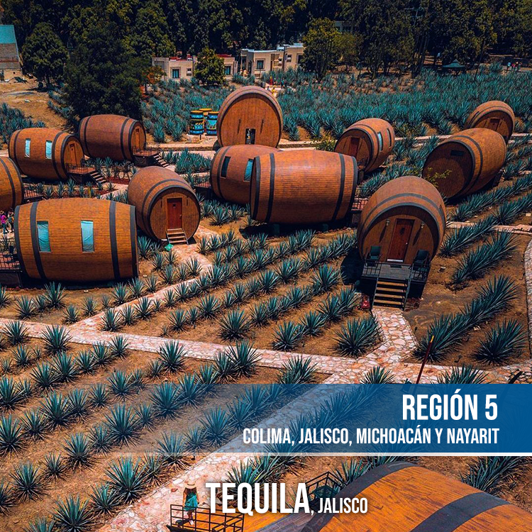 teloram's tweet photo. #Tequila es un poblado del estado de #Jalisco conocido por darle su nombre al tequila al ser uno de los territorios donde este se produce mayormente. 
En octubre de 1600, se crea la primera #destilería de bebida de #agave, creando la primera fábrica de tequila propiamente dicha. https://t.co/tXeL0rZAqV