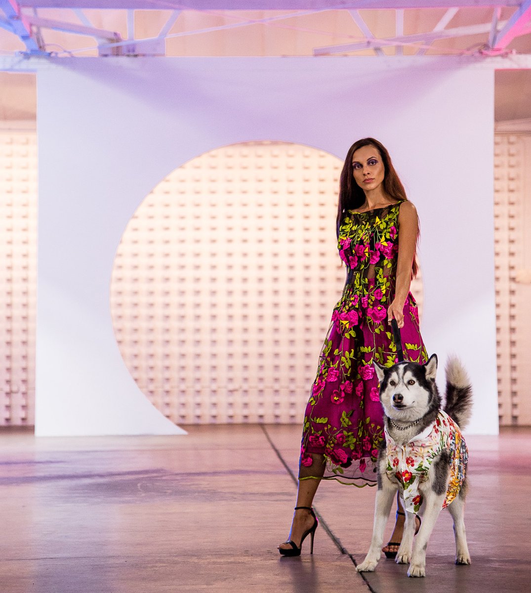 AnthonyRubio01's tweet photo. Anthony Rubio
Women's Wear & Canine Couture
Resort
Runway
#Resort22 #FashionWeek #LAFW #ResortWeek #DogsOfLA #Runway360 #LasMejoresCosas #NYFW #DesignerNYC #ModelNYC #DogFashion #DogModel https://t.co/KAh6bvvNjX