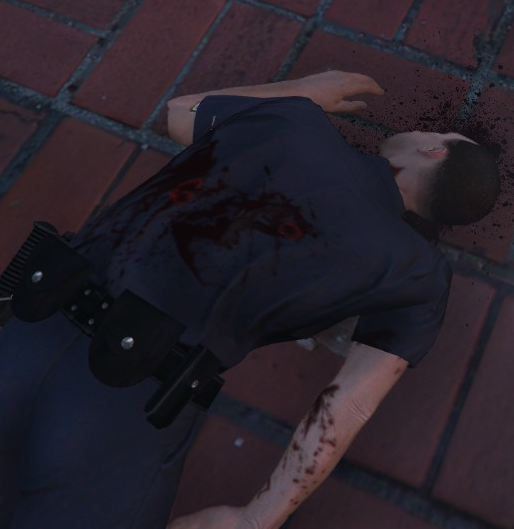 JDobermann_GTA's tweet photo. (Gore Warning) 2 officers down, 1 deceased. 3 suspects missing on the streets of Los Santos. Not good. The deceased officer was Police Officer II Jace Hernandez. Stay tuned for the funeral caption. #backtheblue #nomoreviolence https://t.co/FJCqN5NP3c