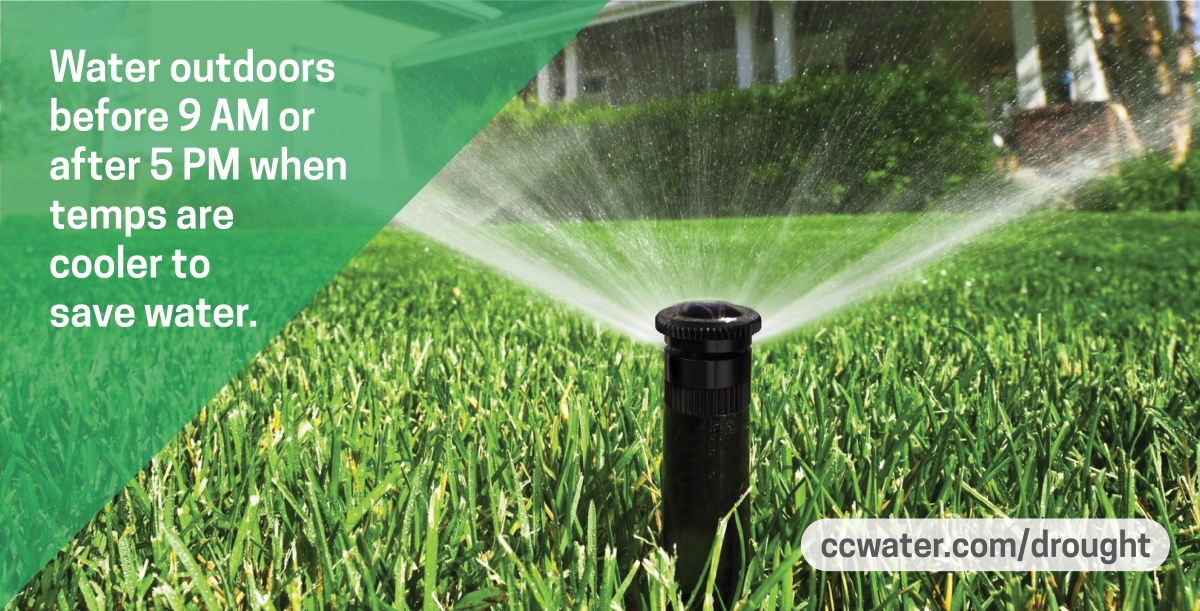 CCWD's tweet photo. ๐ง#WaterWiseWednesday
โก Watering outdoors before 9 a.m. or after 5 p.m. when temperatures are cooler saves water.๐
Our Watering Schedule has customized recommendations on how to #waterwisely: https://t.co/h3axaWiSId
Get more #waterwisetips: https://t.co/lye3fidkFs https://t.co/mcntXocn5b