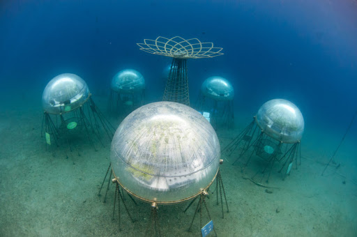 あーつ On Twitter 太陽から得れる再生可能エネルギーと海水の淡水化で追加エネルギーが必要ない 自立型で 2年前の嵐でシステムは被害を受けたんだけど根気よく修復した 最初は思いつきだけど将来的に気候変動や生育に適さない土地での栽培も目指す Nemo S Garden Https