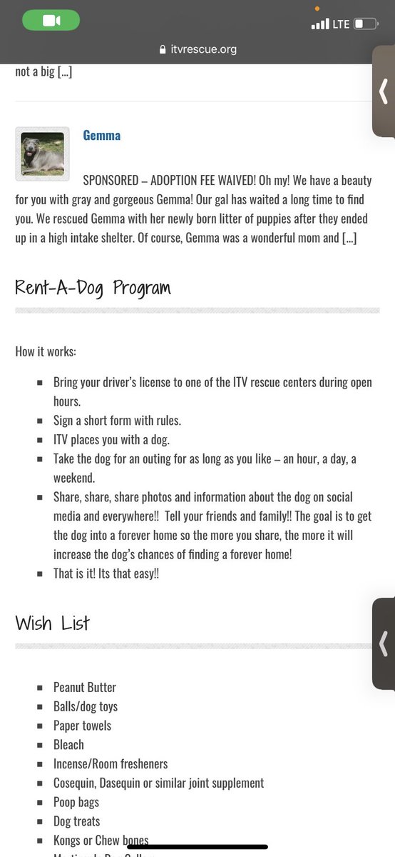 go rent a doggy &amp; help find it a forever home🤍