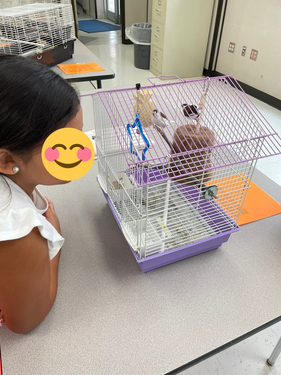 Andrea Michaca tweet media