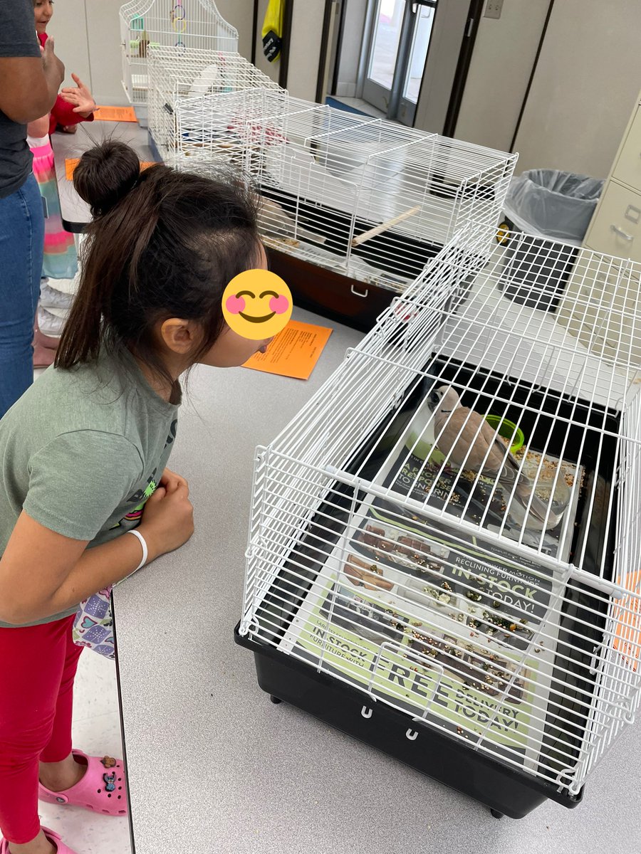 Andrea Michaca tweet media