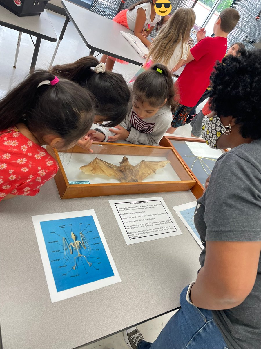 Andrea Michaca tweet media