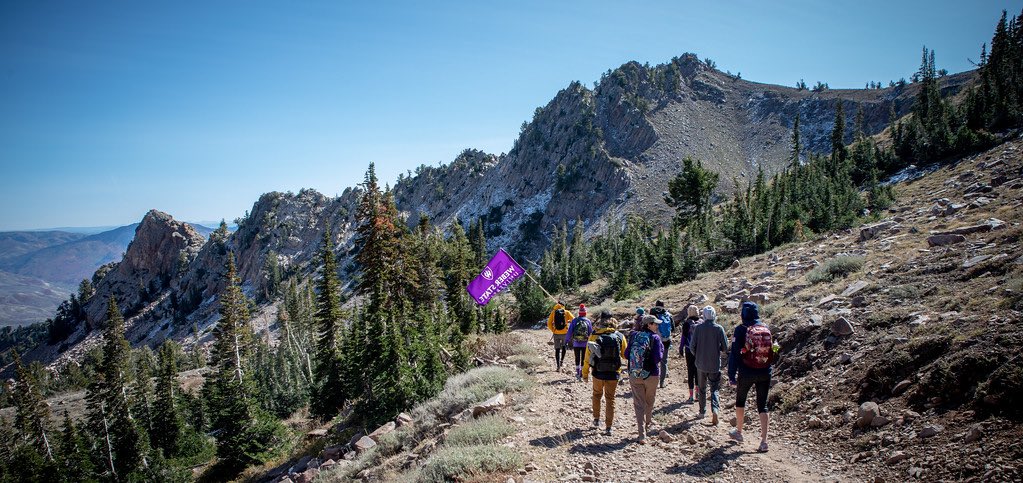 Weber State Arts tweet media