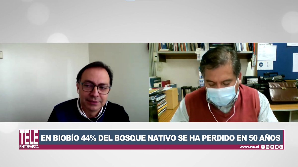 🌱 En el #Biobío han desaparecido casi 400 mil ha de bosque nativo en los últimos 50 años.

<a href="/Cristian_Eche7/">Cristian Echeverria</a>, Director del @LabEcolPaisaje <a href="/udeconcepcion/">Universidad de Concepción</a>, destaca el valor social, científico y cultural de la restauración en entrevista a <a href="/TVU_television/">TVU</a>.

tvu.cl/prensa/tele-en….