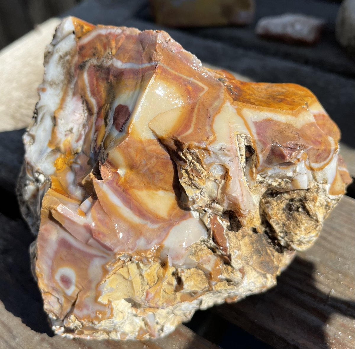 Cool orbicular rock. Possibly jasper?