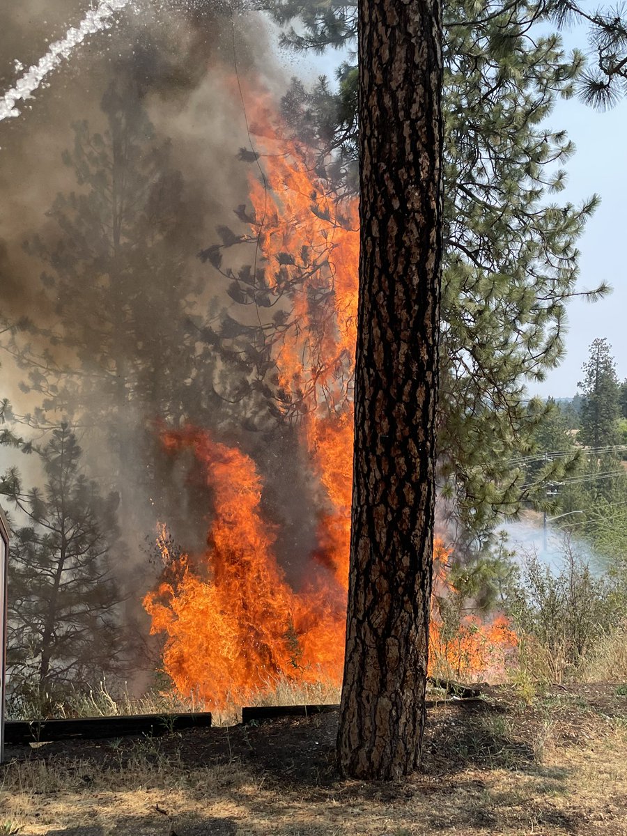 Kaitlin_Knapp1's tweet photo. One homeowner tells me he sprayed a fire extinguisher and a hose — anything to protect their home. Tomorrow, he said he’s going to get rid of extra weeds and create defensible space. The weeds aren’t on their property, but they want to make sure their home is safe. https://t.co/2MFhvHwddr