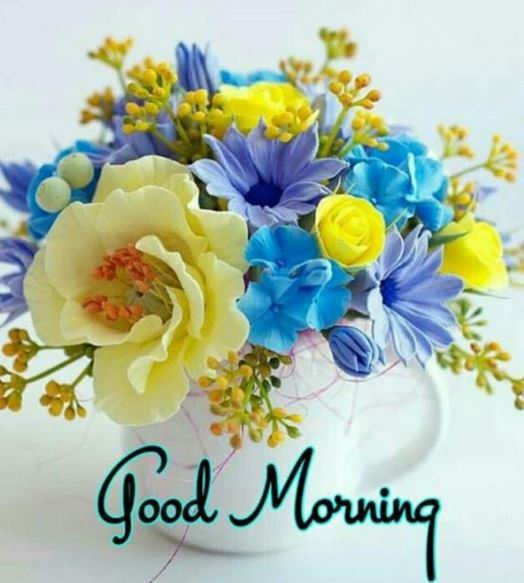 ranigill7's tweet photo. #goomorningfriends #happymidjuly#haveasuper #goomorningfriends #happyweek #haveasuper duperthhursdayfriends๐๐๐๐๐๐๐๐๐๐๐ https://t.co/uKPeX01Aop
