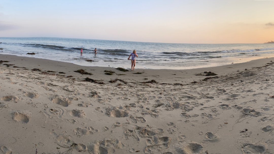 ElliotSeries's tweet photo. How is your summer treating you? ⛅️ ☀️ 🏖 
*
#summerdays #beachday
*
*
*
*
#naturejournal #naturejournaling #naturejournalingwithkids #picturebooks #kidsbookstagram #booksforkids #raisingreaders #childrensbookstagram #childrensliterature #kidsbookswelove #childrensbooks https://t.co/svy1uCNd8E