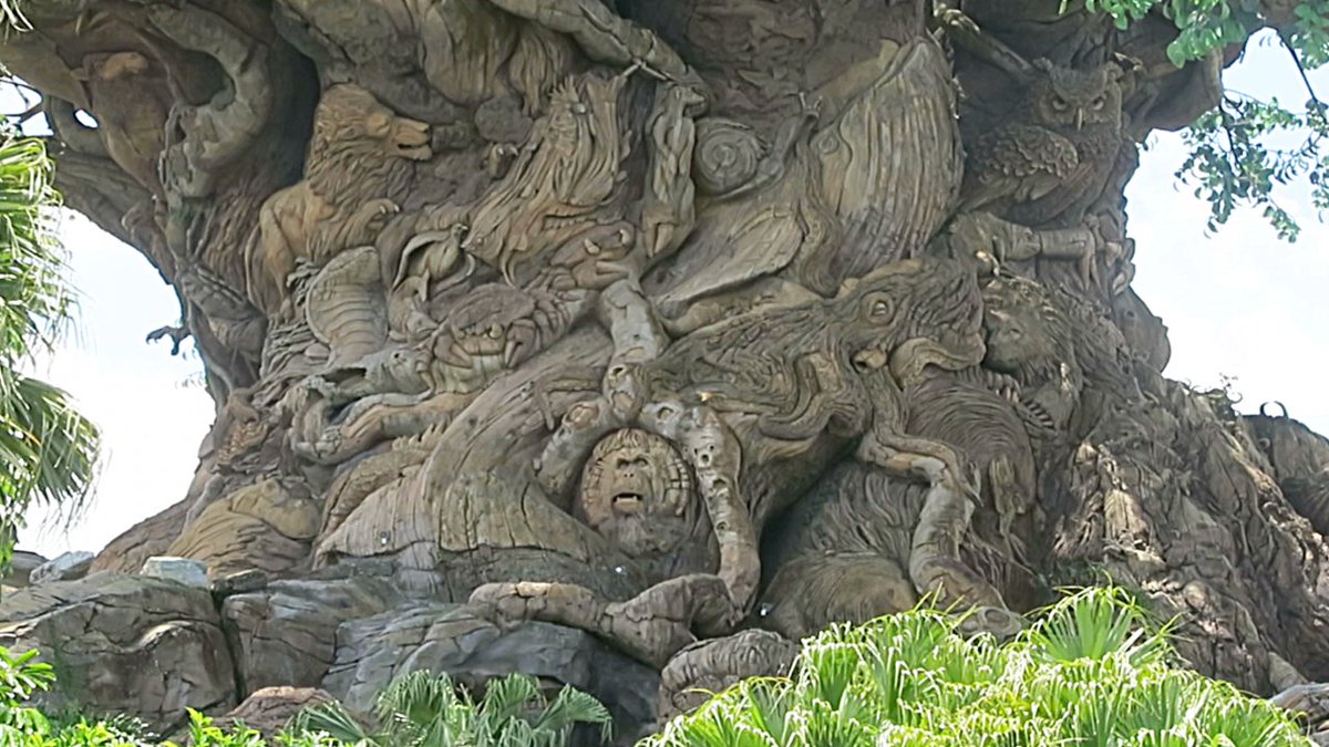 Animals Carved Into Tree!!
