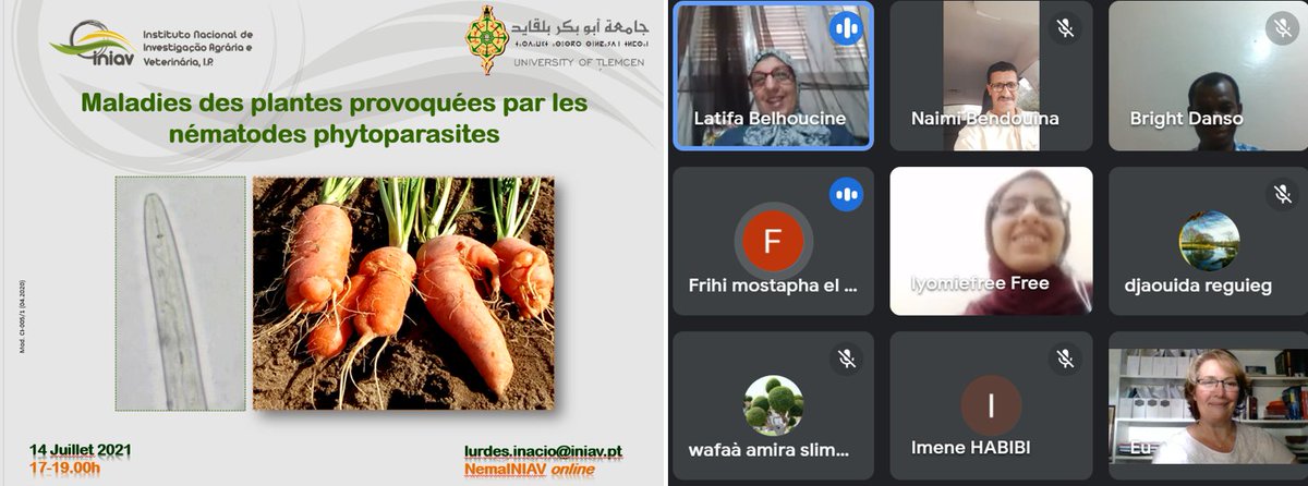 Teaching the new generations (PhD students, Algeria) #NemaINIAV at <a href="/INIAV_IP/">INIAV, IP</a> 🤩