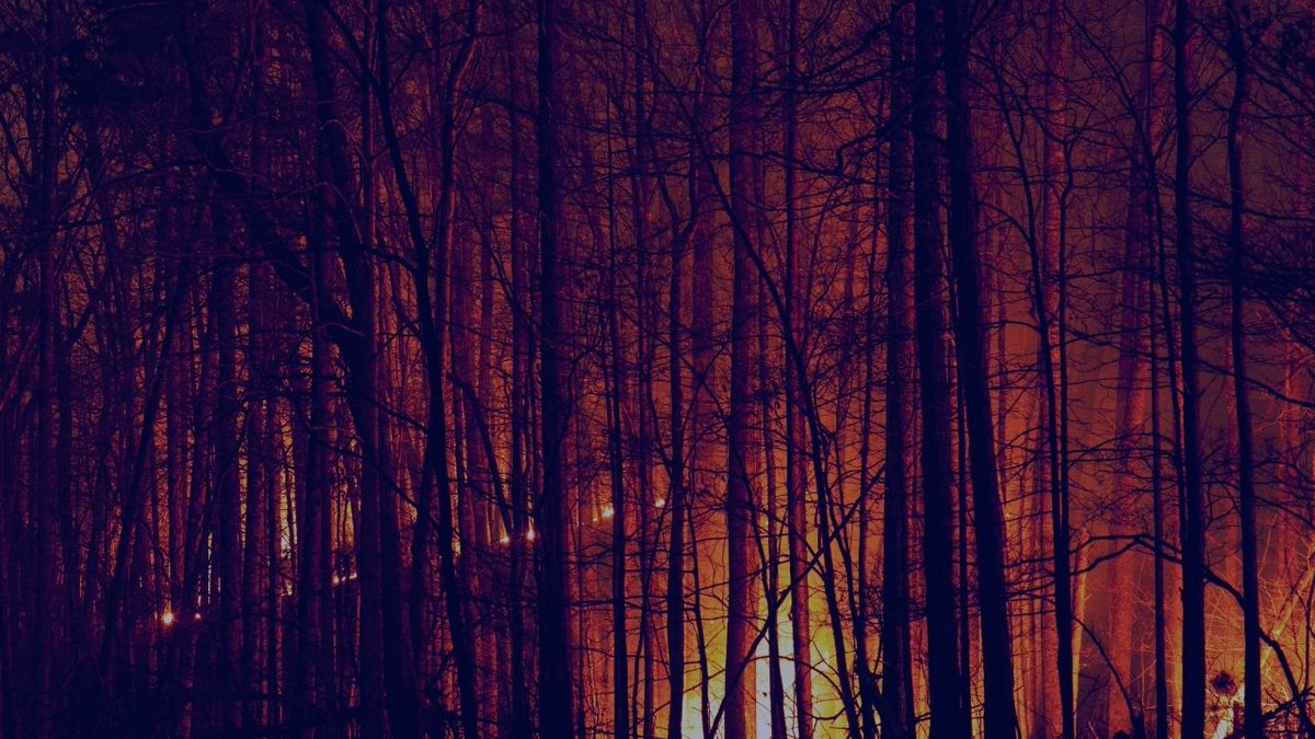 MoniqueD_Author's tweet photo. "The Universe Is Always Listening" by @vocal_creators https://t.co/BT7zP4xuSj https://t.co/Zb3sQnEf3B
