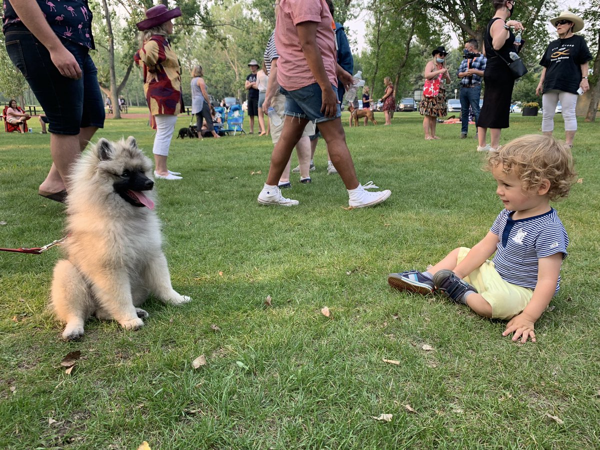 pancholi_rakhi's tweet photo. Hanging out in beautiful North Glenmore Park in #yyc this evening and the cuteness of this interaction pretty much bowled me over.
These was mutual love between these two. ππΎ #NDPups #ableg https://t.co/tZfajV1qJF