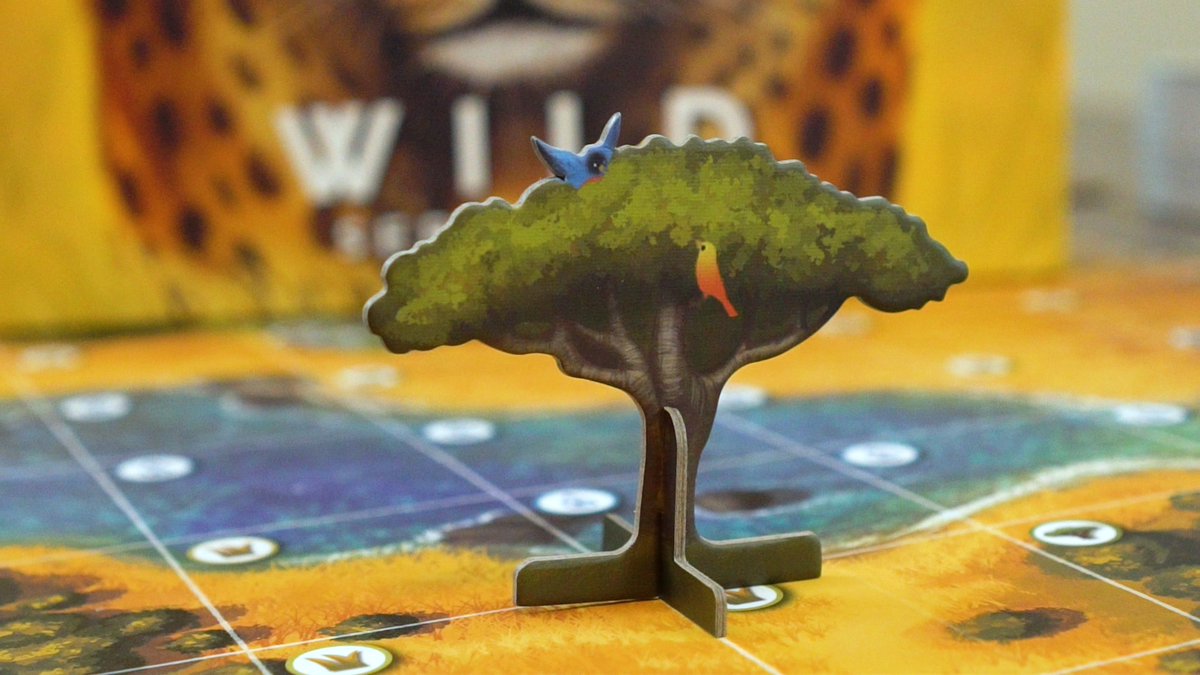 LonelyManBGs's tweet photo. Working on a video for a pretty sweet-looking game for @BadCometGames -- Wild: Serengeti, a documentary-making board game, located in, you guessed it, the Serengeti.

#boardgame #tabletop #serengeti #photography #videographer https://t.co/Lji0LivyYA