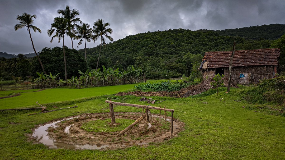 manncyclopedia's tweet image. I believe in God, only I spell it Nature.