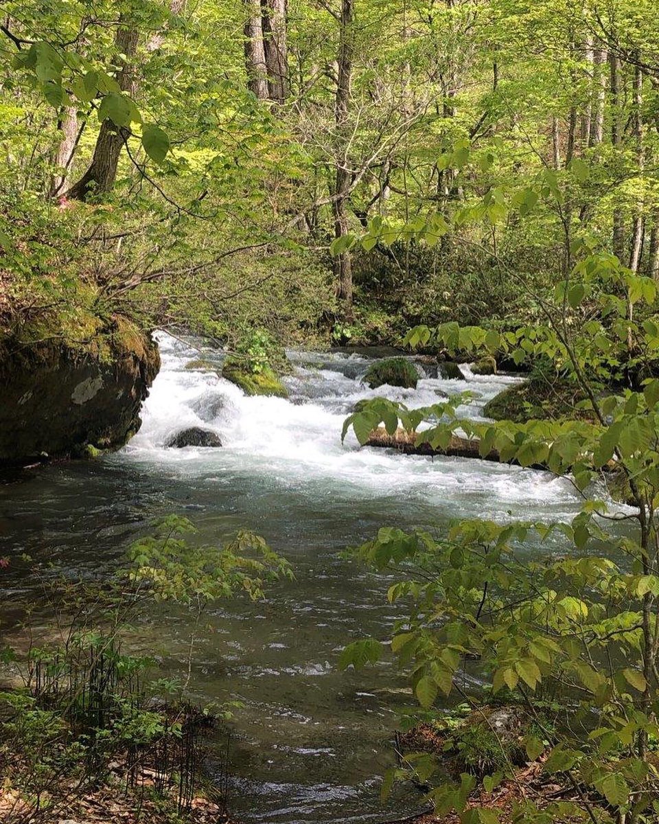 ট ইট র 防衛省採用チーム 職員紹介 防衛省専門職 英語 内部部局 安全保障関連行政 東北防衛局において 在日米軍との調整に奮闘する 防衛省専門職員をご紹介いたします 詳しくは Https T Co Zltmfoo1er