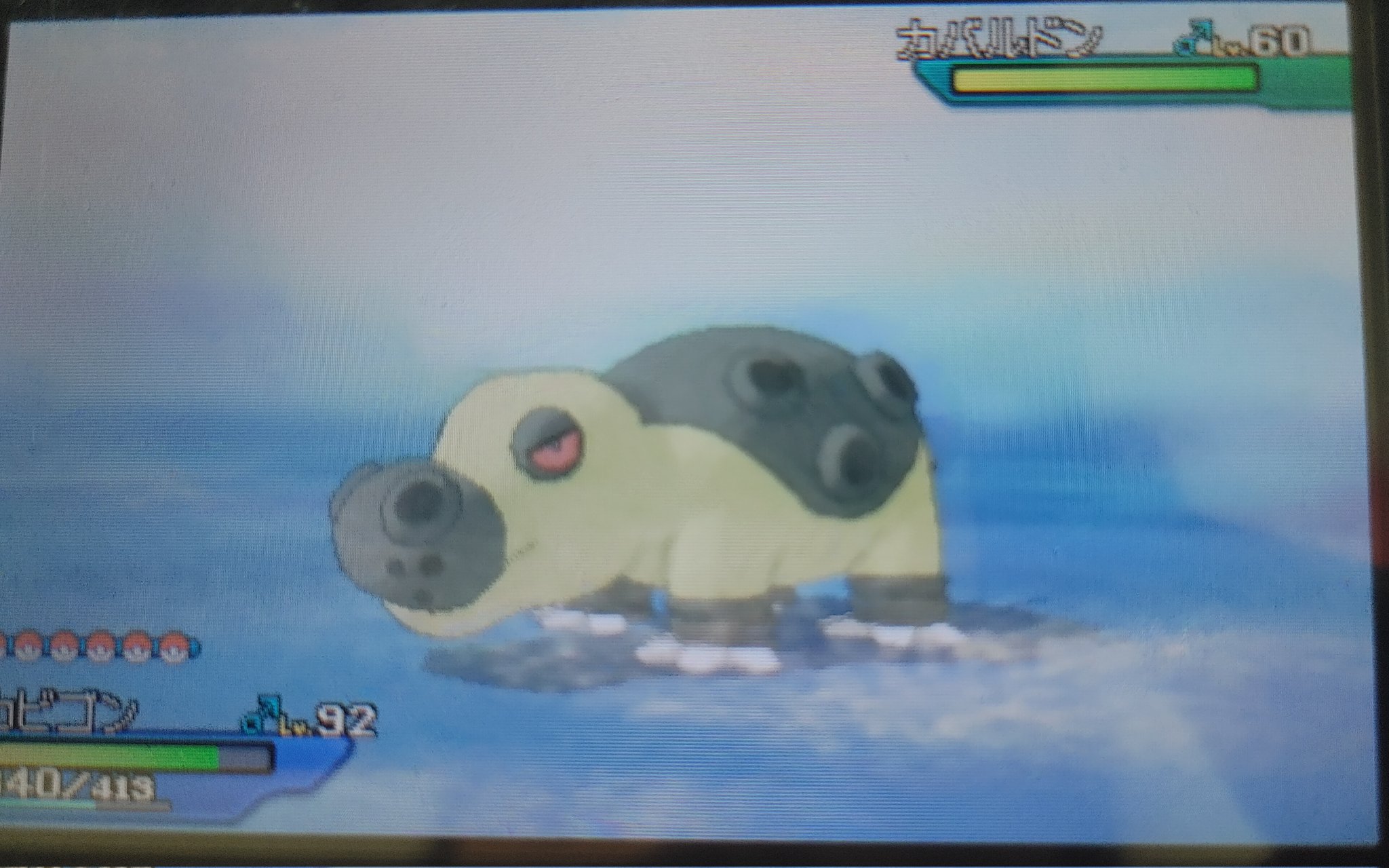 和翔 Kazuto 色違いカバルドンget じゃ 図鑑埋めいってきまーふ ポケモン 色違い Usum T Co Ha7rhzu7oe Twitter 和翔 Kazuto 色違いカバルドンget じゃ 図鑑埋めいってきまーふ ポケモン 色違い Usum T Co Ha7rhzu7oe Twitter