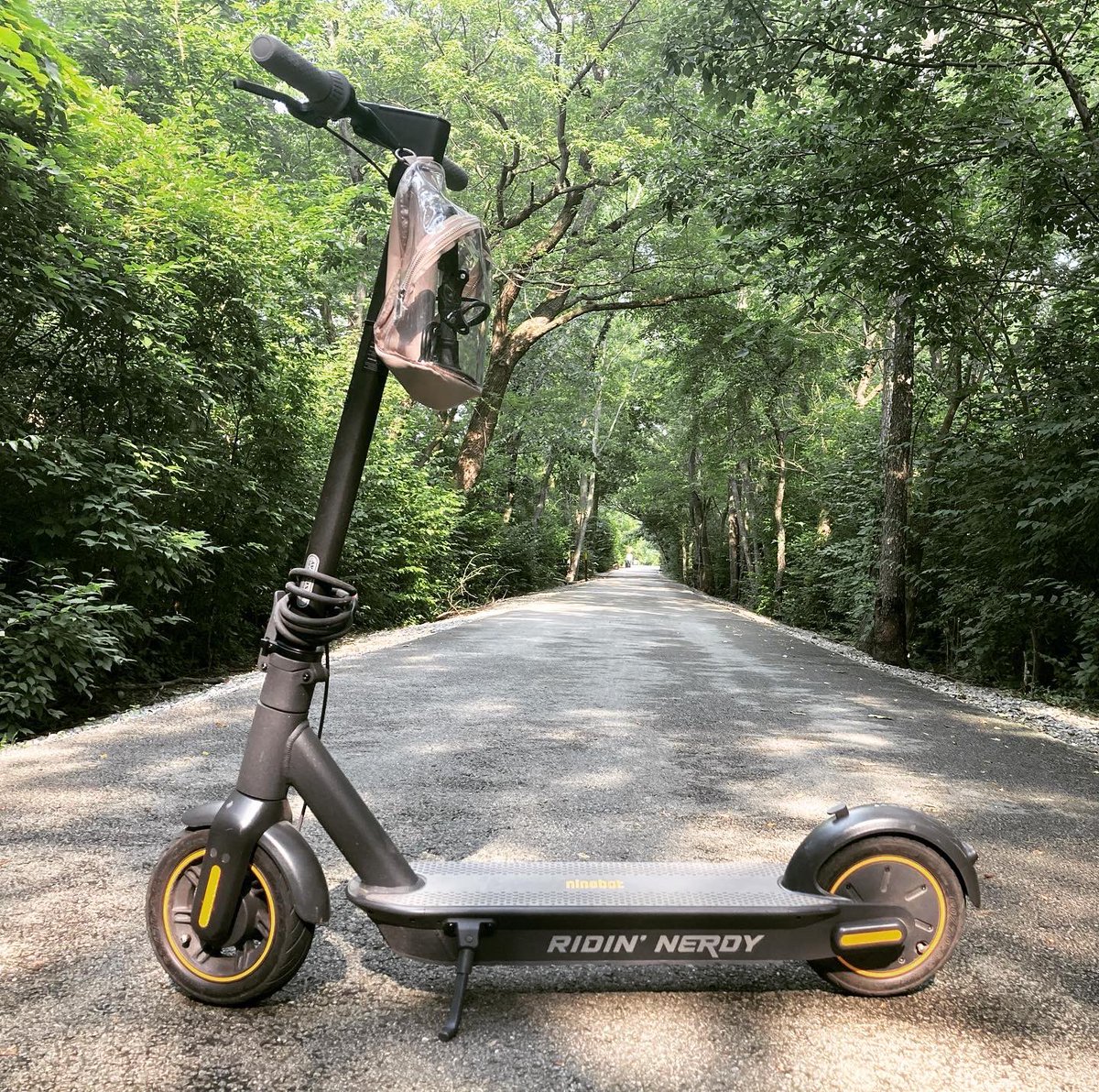 BKMeditor's tweet photo. A friend hooked me up with some cool signage for my scooter. #ridinnerdy #ninebotmax #scooter https://t.co/ZuVpTPXsjZ