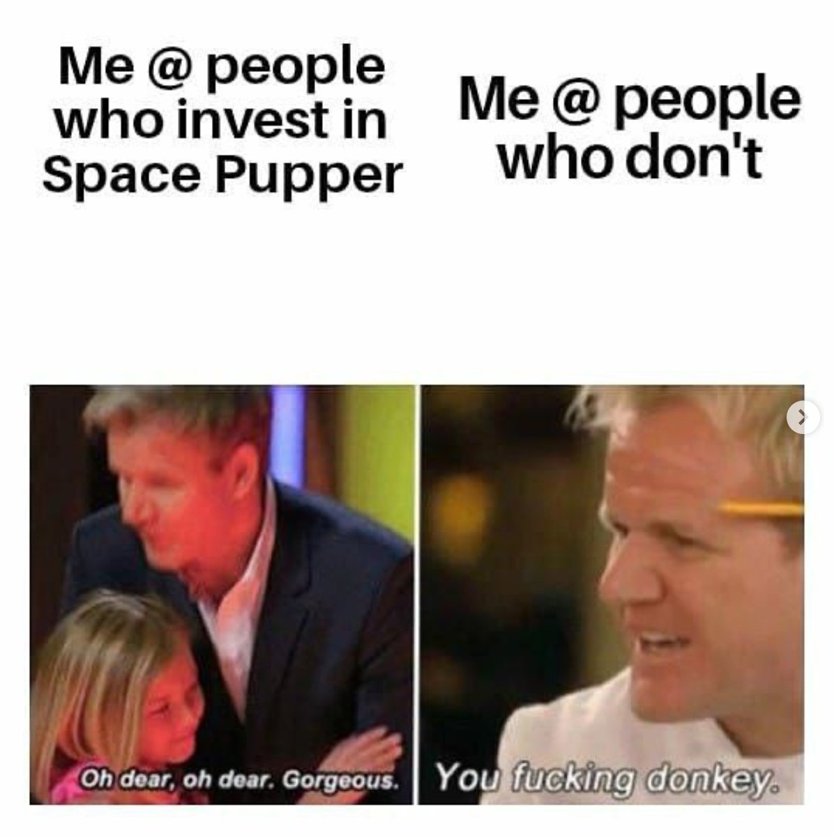 Word has it that Gordon Ramsay is searching for you!

Space Pupper Token Address: 0x705220142db829e054Ee06351c06ba814dA2a89B
https://t.co/wVny72SkB0 https://t.co/Ed03tX9CAo