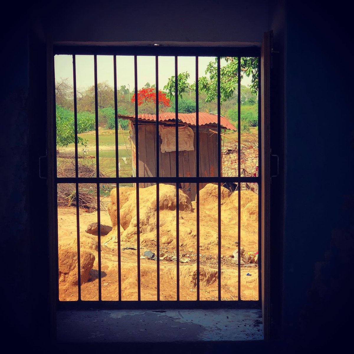 rjfahad's tweet photo. वो जो दूर सुर्ख़ दरख़्त दिख रहा है उसे गुलमोहर कहते हैं
#Inhauna https://t.co/KtKhCUbQMB