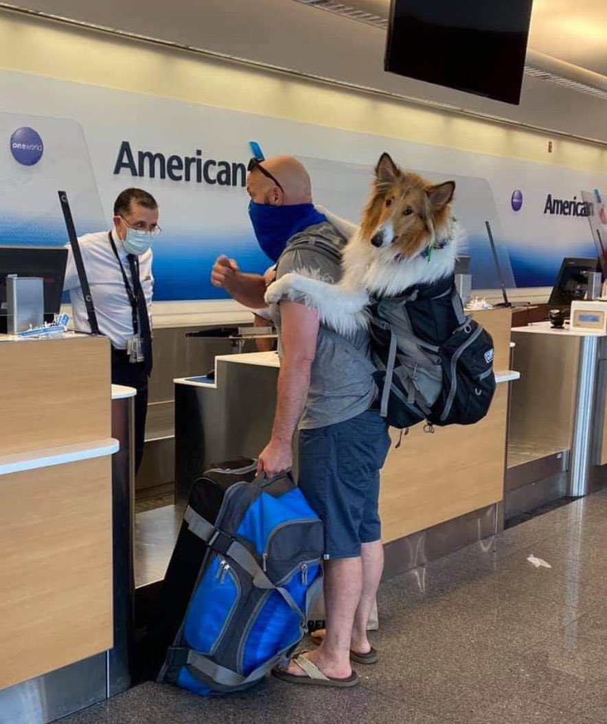 💖 (@twaniimals) on Twitter photo 