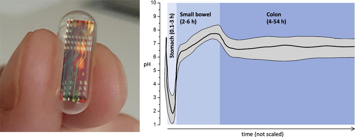 ADDReditors's tweet photo. ADDR 50 days' free access: "Ingestible devices for studying the gastrointestinal physiology and their application in oral biopharmaceutics"
By Werner Weitschies &amp; coworkers @uni_greifswald 
@CRS_FG_Oral 
#Ingestiblesensor #oraldelivery #biopharmaceutics
https://t.co/4VUwBzelsO https://t.co/U5cC5Vdpfi
