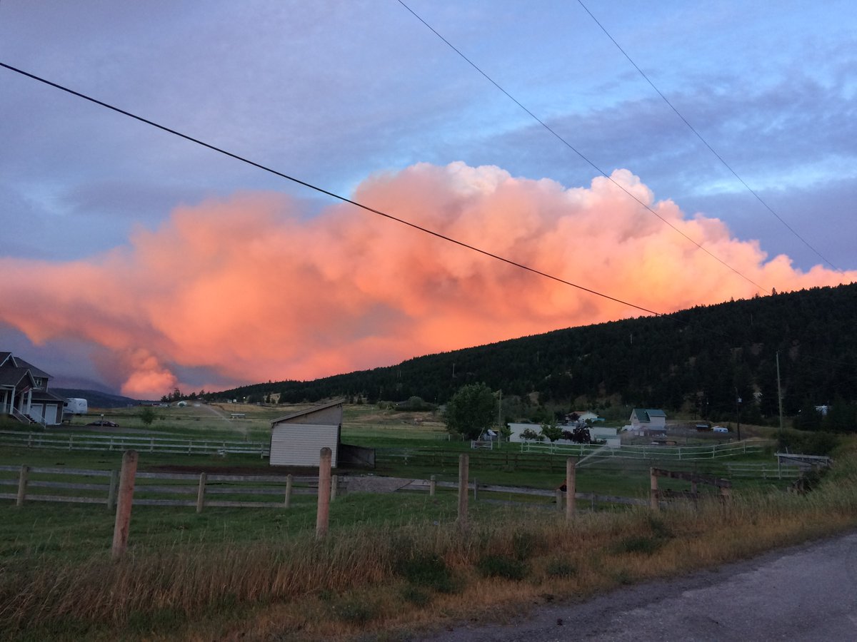 FireSmart Zoom Session: Hosted by the Metchosin Senior Resource Centre.
Thurs., July 15 at 1pm
metchosinseniors.ca/firesmart/
Hear from Metchosin FireSmart about free local FireSmart Home Assessments, local Rebate/Chipping  Programs and what you can do to protect your home from wildfire