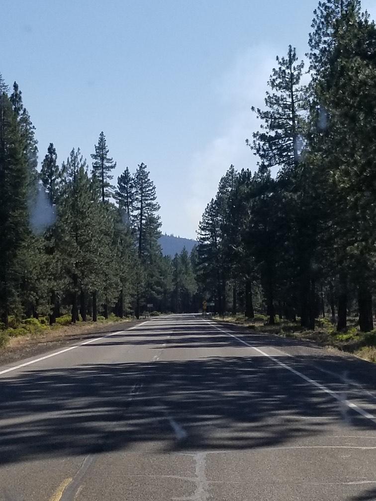 LassenNF's tweet image. The #LassenNF staff is investigating  the reporting of a two acre fire on the #AlmanorRD off Highway 32 in the area of Deer Creek Canyon and Elam Campground.  Please continue to monitor our social media channels for updates.