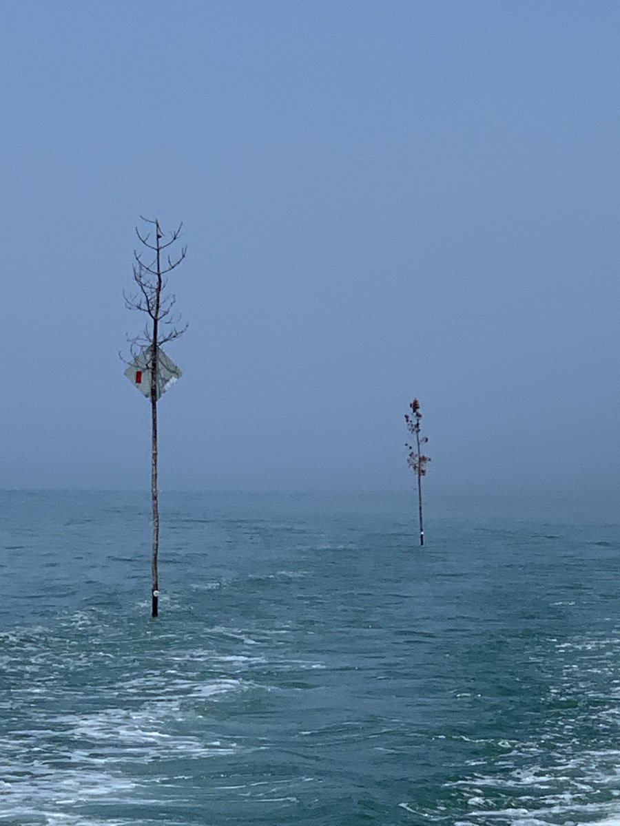 Heather Keating tweet media