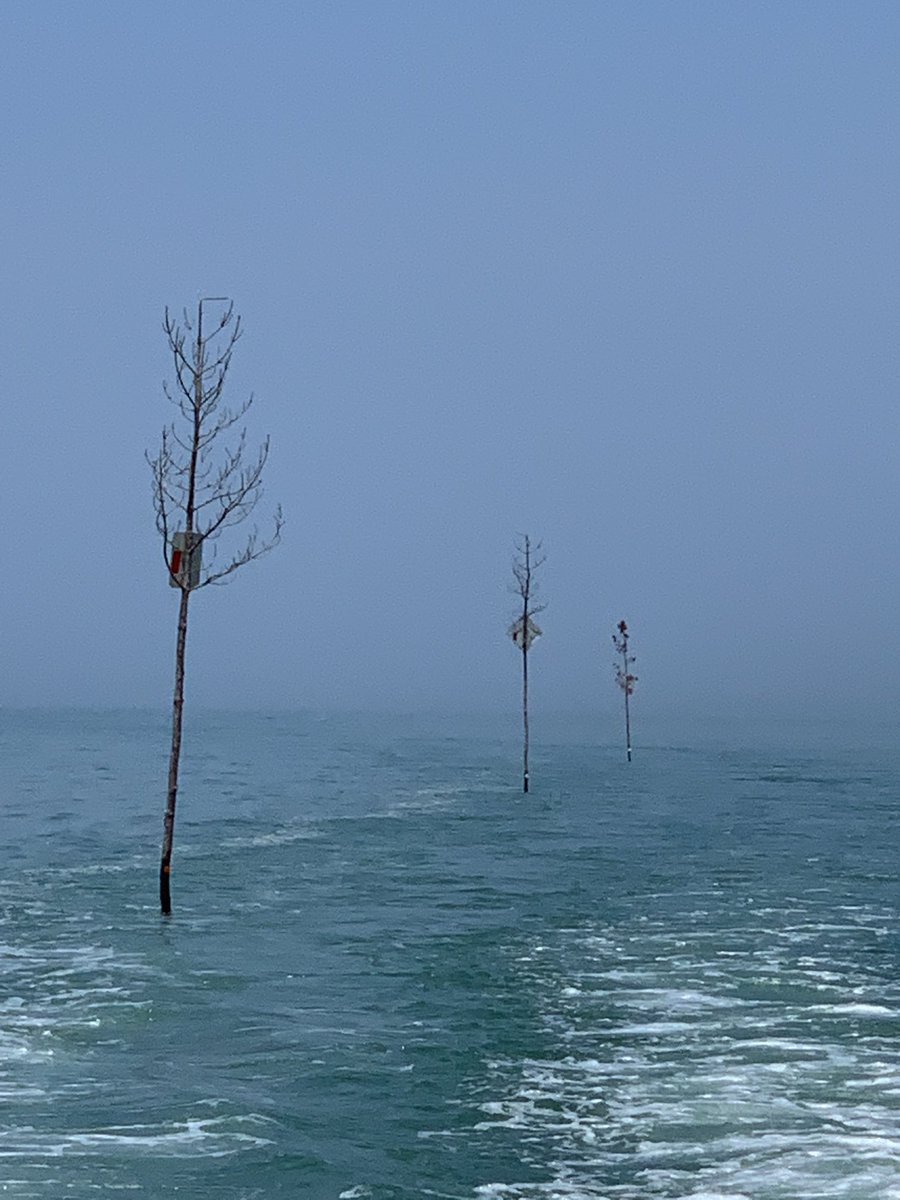 Heather Keating (@heatherakeating) on Twitter photo 