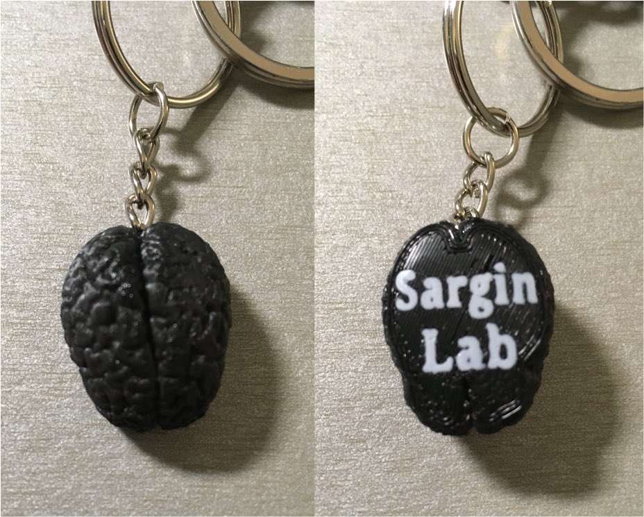 Derya Sargin tweet media