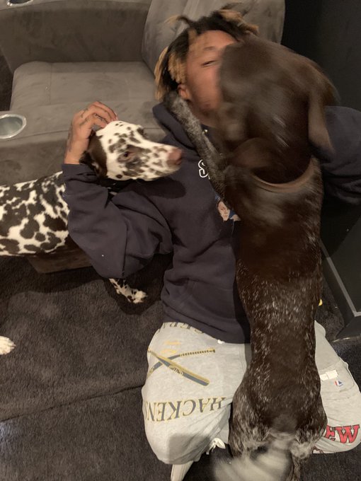 2 pic. our bbs when we’d get back from a tour https://t.co/n4KUYm1Fs9