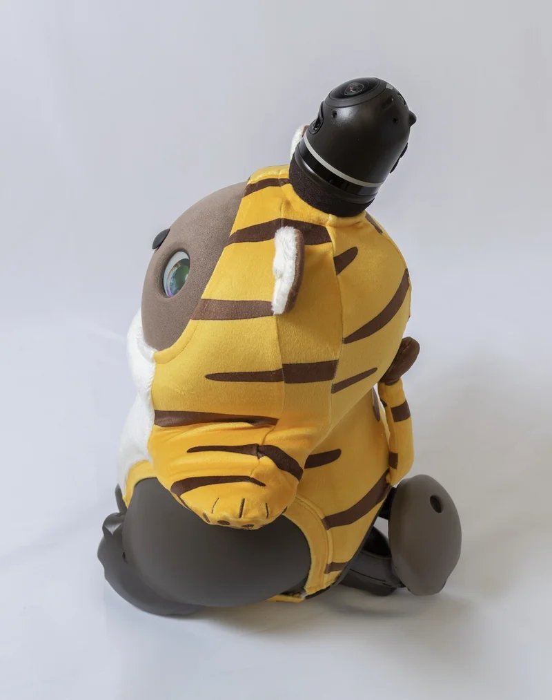 Zcacydnlrrkzem Zcacydnlrrkzem