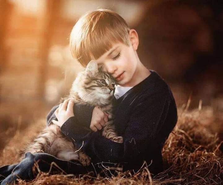 Nashir221's tweet photo. .
. النظر إلى ما في أيدي الأخرين،،🍂
يفسد علينا متعة الإستمتاع بما في أيدينا،،🍂
               
إذا رأيت في يد شخص
شيئا أجمل مما في يدك،،🍂
فلعله تعويض عن شيئ حرم منه،،🍂
              
البيوت أسرار...🍂
والناس صناديق مغلقة...🍂 https://t.co/lU7zlFZN6L