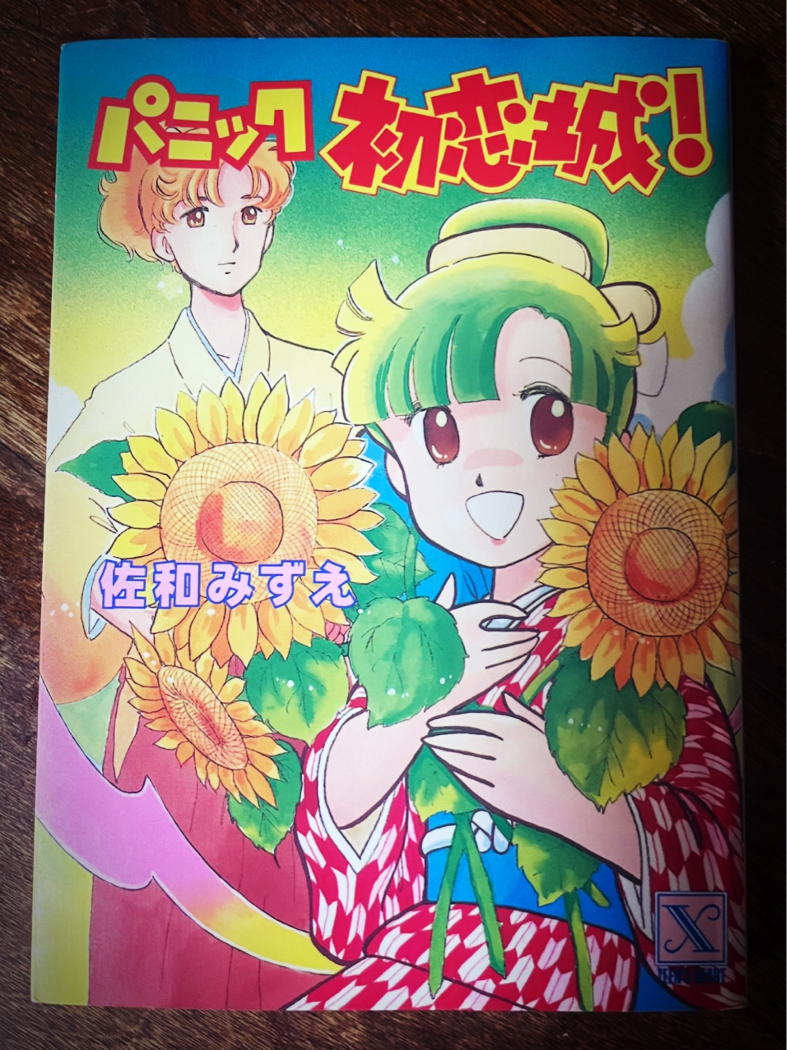 朝香祥「かぜ江」シリーズ　全巻 文庫 朝香祥／「かぜ江」シリーズ 全巻セット 12冊