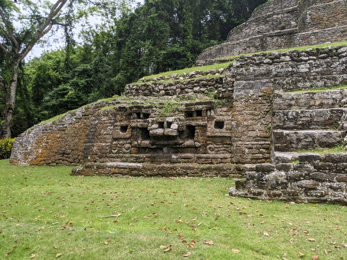 ajax7447's tweet photo. Fun day visiting Lamanai ruins today in Belize. https://t.co/HDz1UaLeVW
