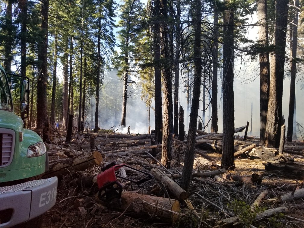 LassenNF's tweet image. The #ElamFire on the #AlmanorRD has grown from 2 acres and is currently at approximately at 4-5 acres with moderate rate of spread. We have crews on scene and making good progress considering there is heavy dead and down material. Resources will continue to monitor it overnight.