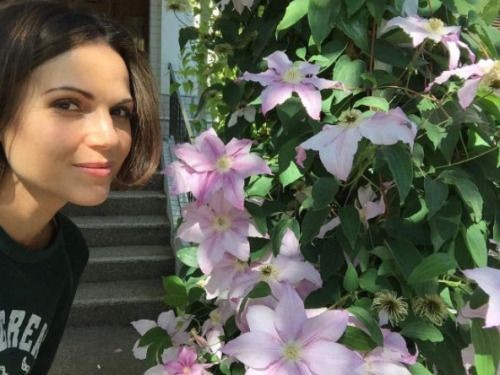 Lana parrilla as tia apaixonada por flores appreciation message 

HAPPY BIRTHDAY LANA 