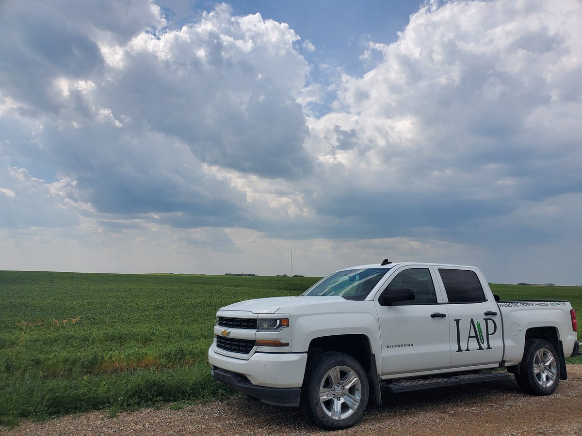 Great day checking crops, and good to see some clouds for once.<a href="/InnovativeAg/">IAP (Innovative Ag)</a>